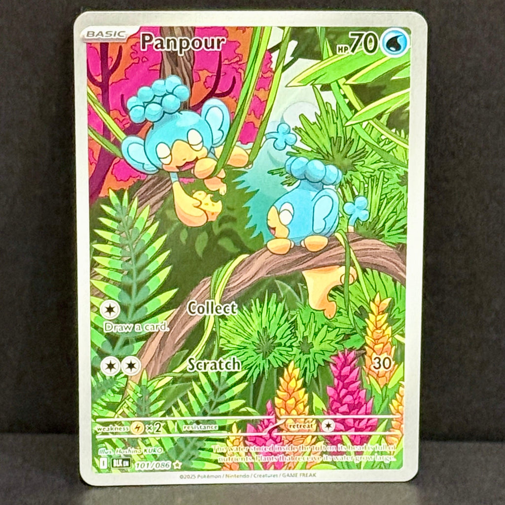 2024 Pokemon Black Bolt 101/086 Panpour Illustration Rare