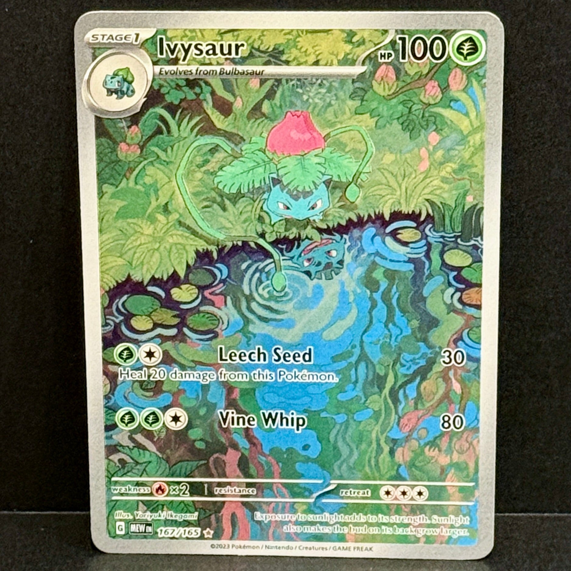 2023 Pokemon SV 151 Venusaur / Ivysaur / Bulbasaur Set of 3