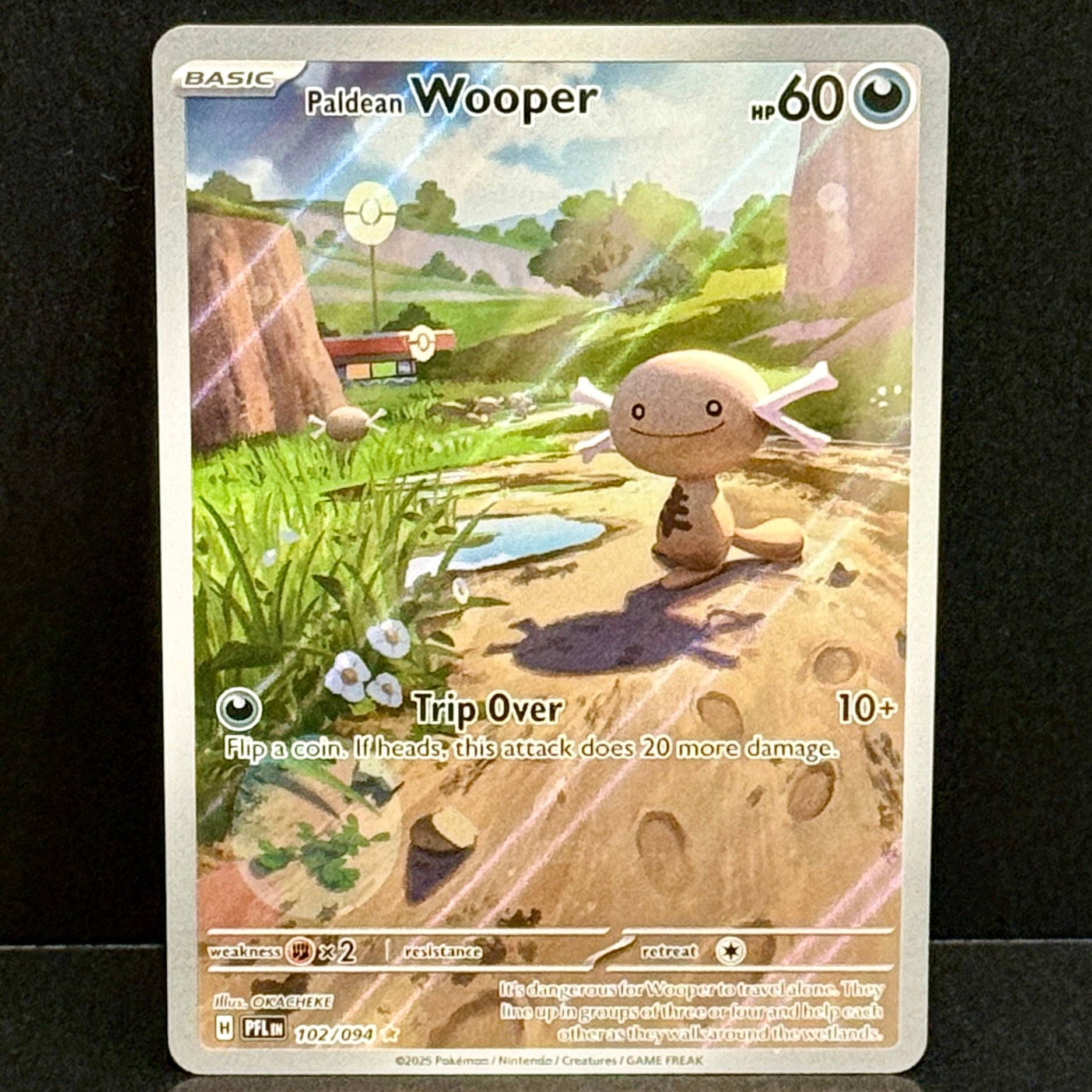 2025 Pokemon Phantasmal Flames 102/094 Paldean Wooper Illustration Rare