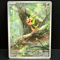2026 Pokemon Chaos Rising 087/086 Chespin Illustration Rare