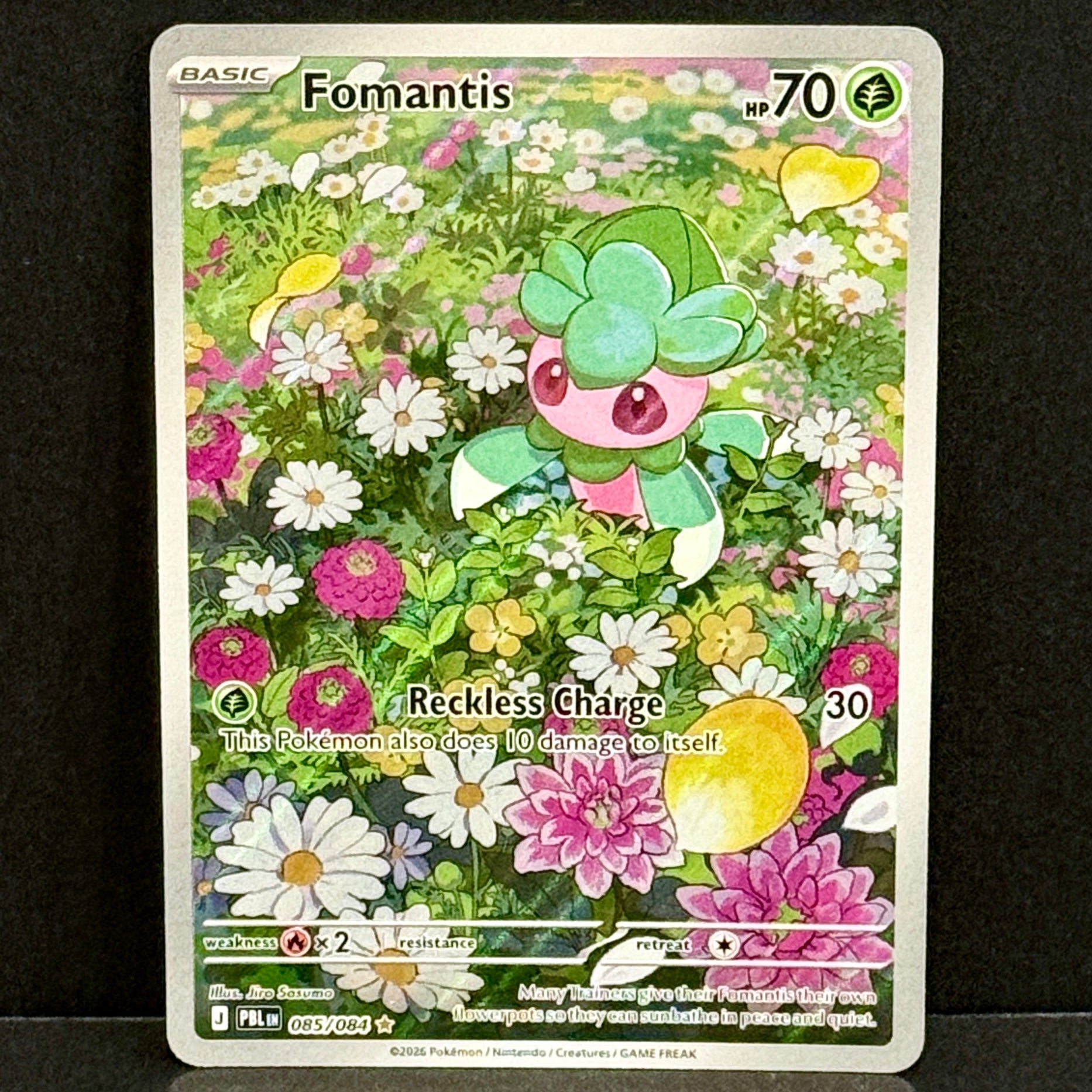 2026 Pokemon Pitch Black 085/084 Fomantis Illustration Rare