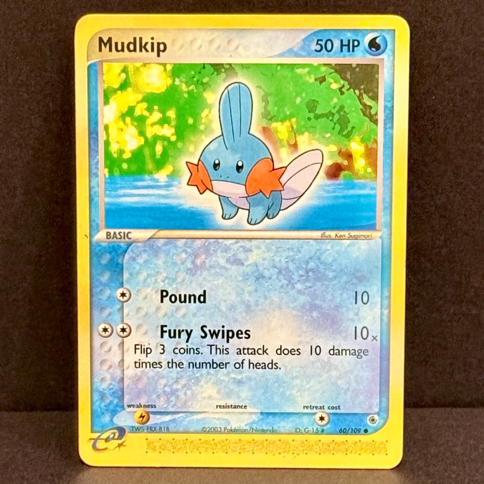 2002 Pokemon EX Ruby & Sapphire 060/109 Mudkip Common