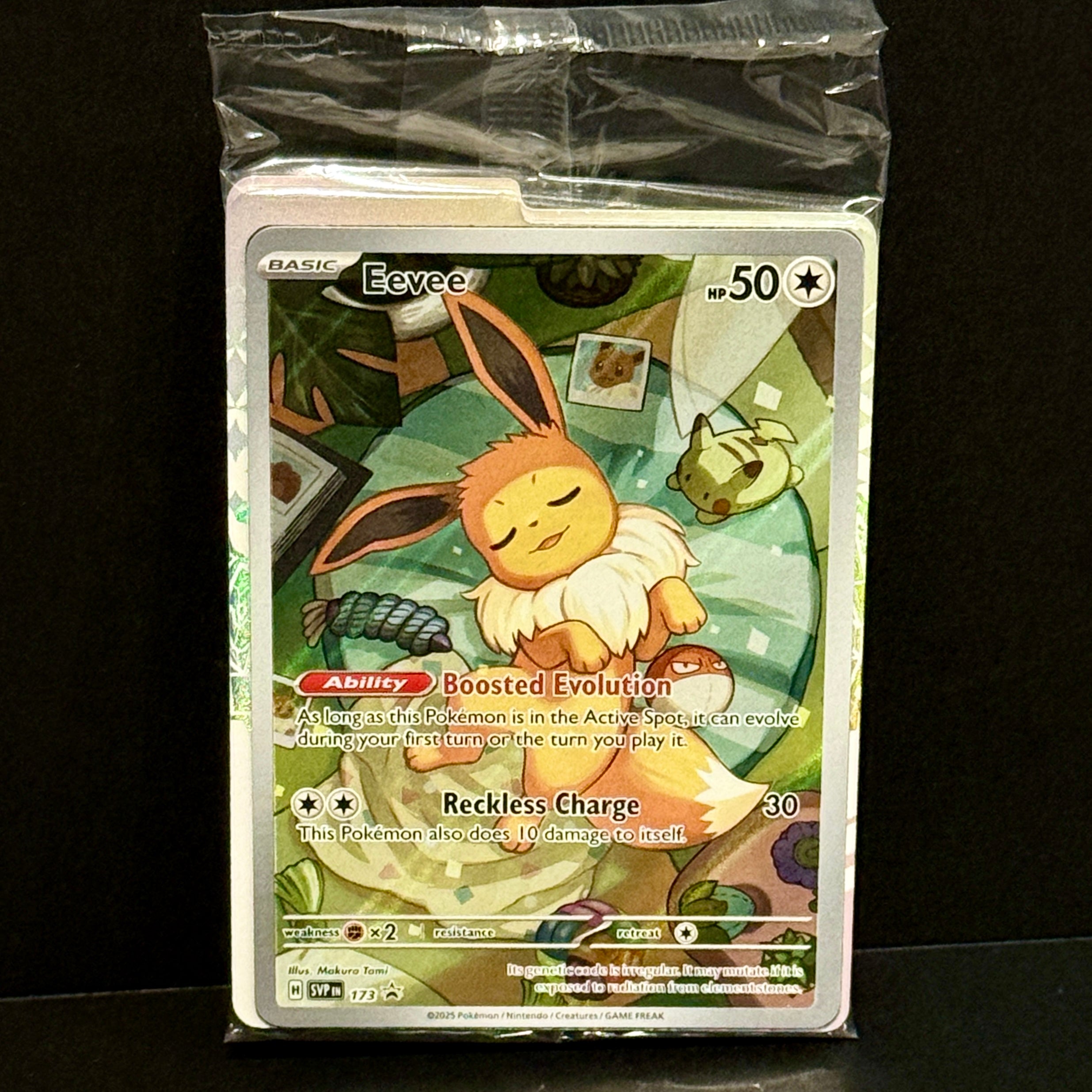 2025 Pokemon Scarlet Violet Promo 173 Eevee Promo SEALED
