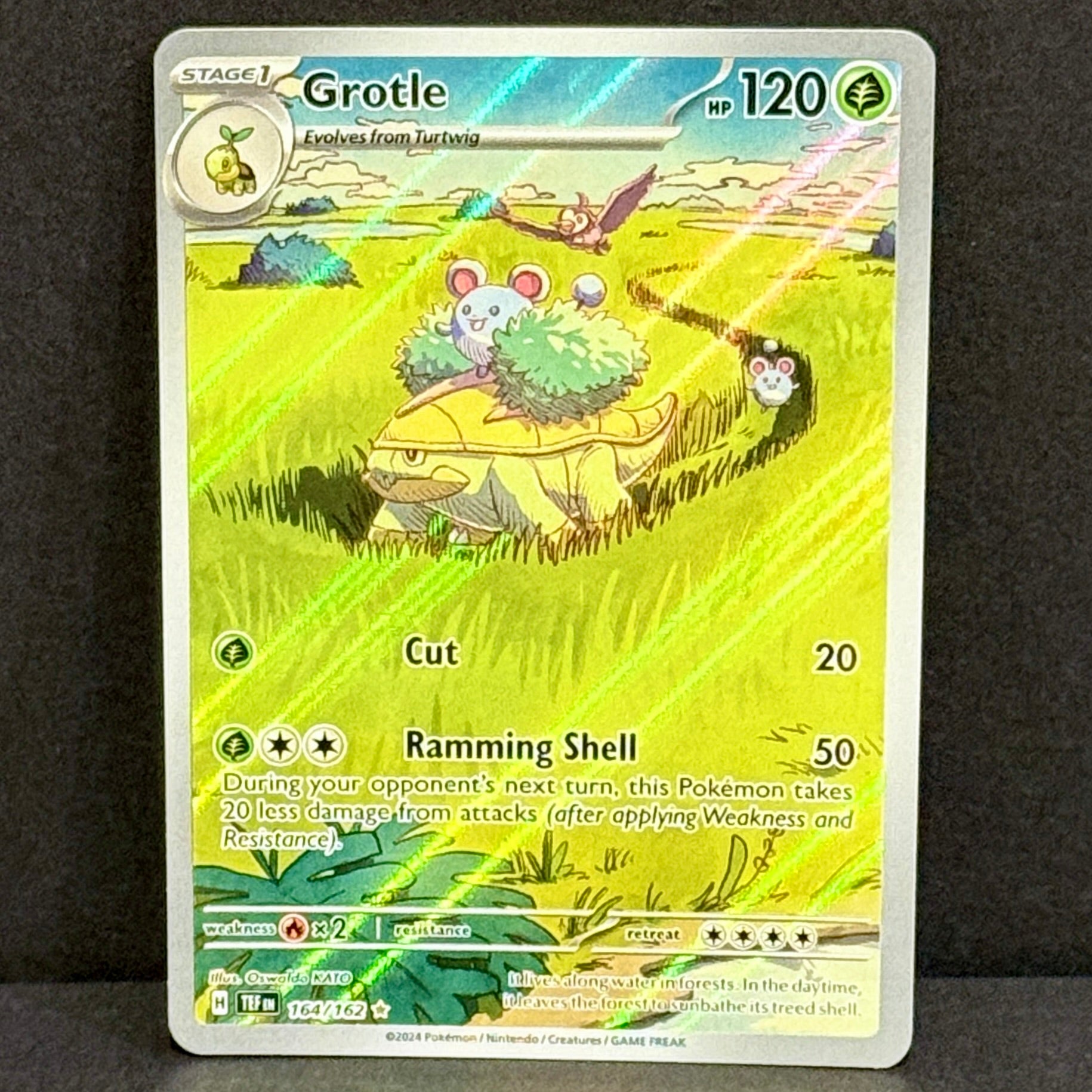 2024 Pokemon Temporal Forces 164/162 Grotle Illustration Rare